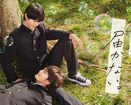 济南搜索引擎seo优化代理